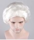 White Colonial Wig